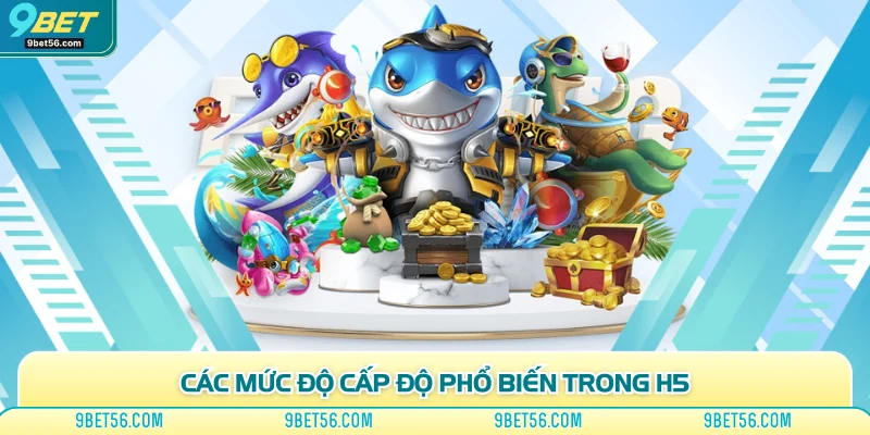 Các mức độ cấp độ phổ biến trong H5