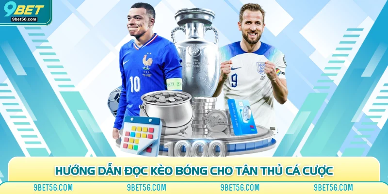 Hướng dẫn đọc kèo bóng cho tân thủ cá cược